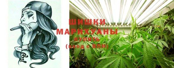ГАЛЛЮЦИНОГЕННЫЕ ГРИБЫ Медногорск