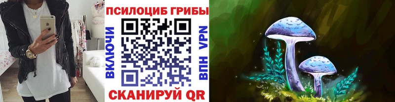 Галлюциногенные грибы Psilocybe  мега как зайти  Краснотурьинск 