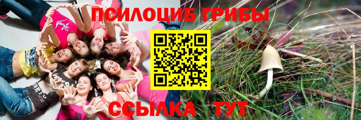 Галлюциногенные грибы MAGIC MUSHROOMS  Псилоцибиновые грибы Psilocybine cubensis  Краснотурьинск 